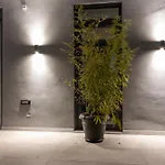 Loft 77 公寓 帕特雷